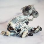 By Albino Penis Envy Mushrooms - Image 2