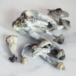 By-Albino-Penis-Envy-Mushrooms