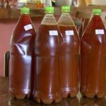Ayahuasca-Tea-Effects-Safety