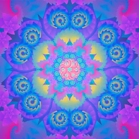dmt 1 3