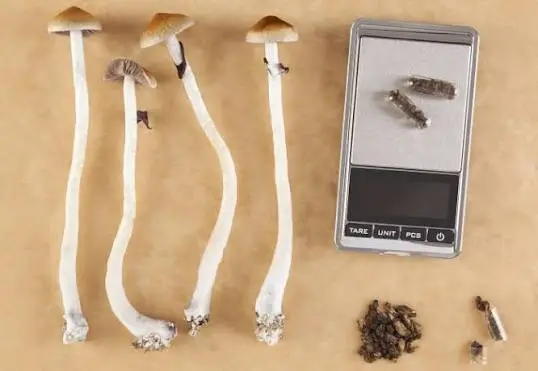 microdosing 1
